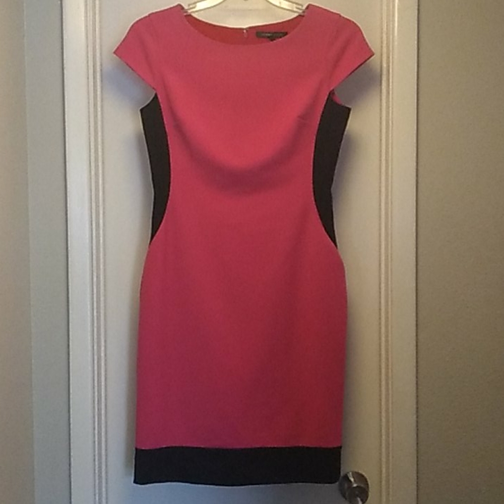 Cynthia Steffe fuschia/black color block dress